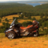 vrodrjs