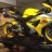 Edsts