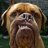 Mad_Dog603