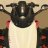 revtom