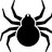 phillyspyder63