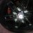 Dentin028