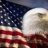 BaldEagle