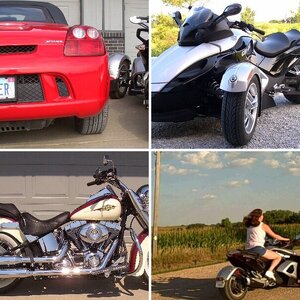 Jodi's Spyders