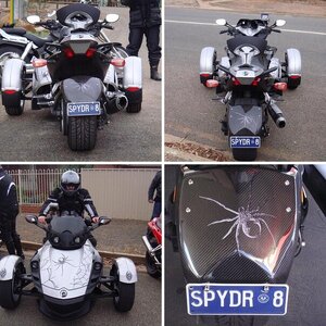 My Spyder