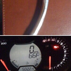Miscellaneous Pics