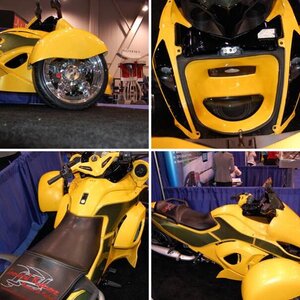 Immortal Spyder