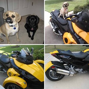 My Spyder
