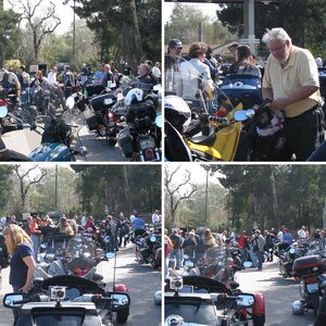 motorsports ryde