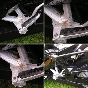 SPIDER ON A SPYDER