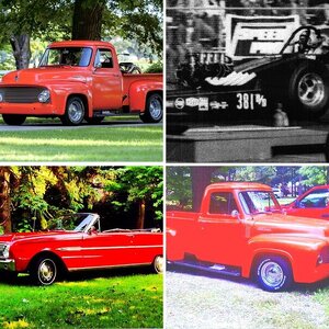 The Cars