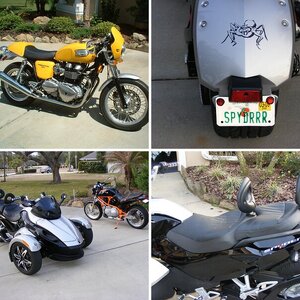 SPYDRRR AND BUELL