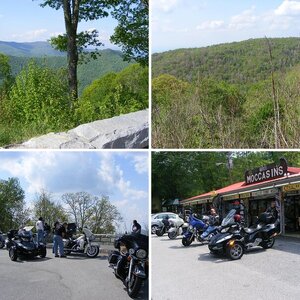Dragon Run 2011
