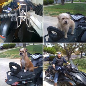 MY RYDE