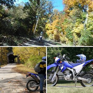 WR250R