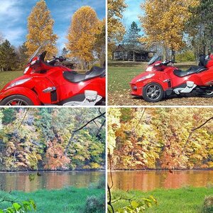 Rides