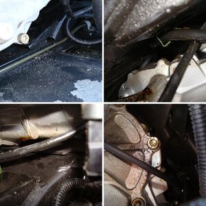 Oil Leak