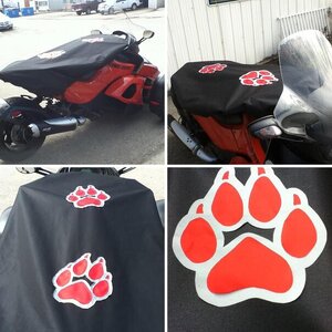 Wolf Spyder!