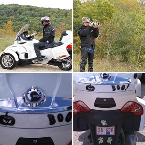 Photos