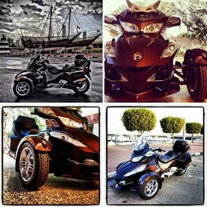 My spyder