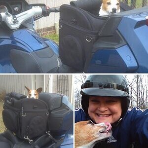 Biker Babe Abby