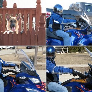 My Spyder