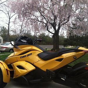 My Spyder