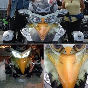 Silver Eagle