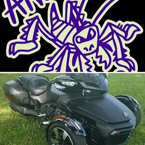 Angry Bug