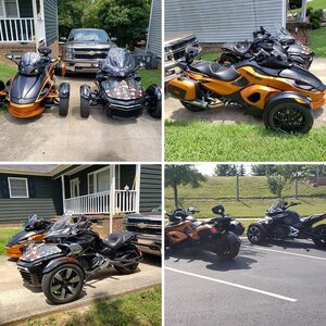 New to the family