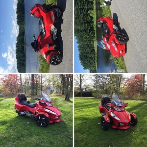 Red spyder