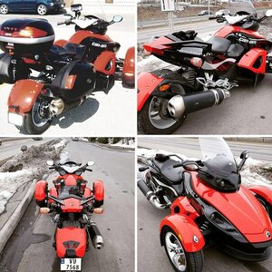 My spyder