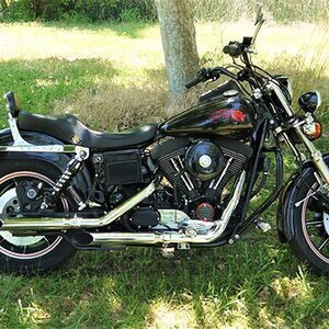 1991 Harley Sturgis