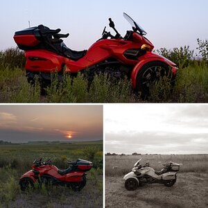 David Petricks Spyder