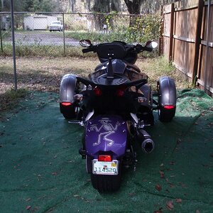 PB150004-back view
