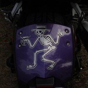 spyder 08 041