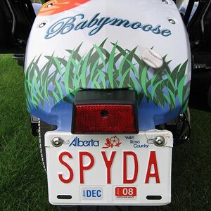 Rear fender
