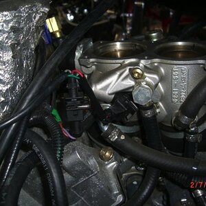 CIMG5890sm