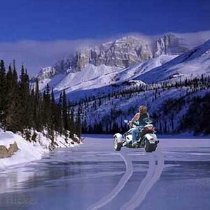 winterspyder