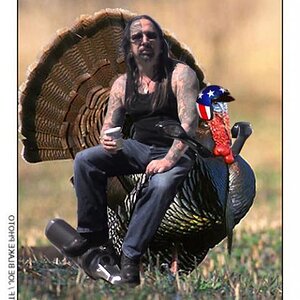 turkeyspyder