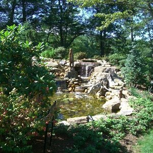 $40.000 pond