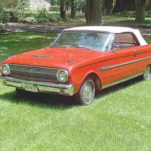 Nancy's Falcon