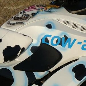 cowie 005