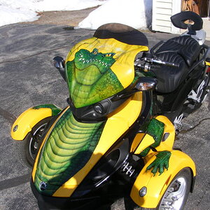 dadsspyder001
