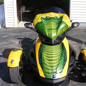 dadsspyder005