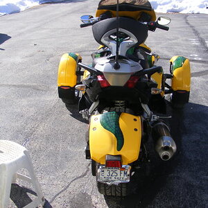 dadsspyder010