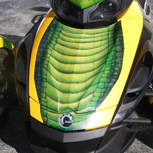 dadsspyder016