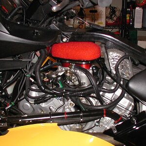 evoluzione2