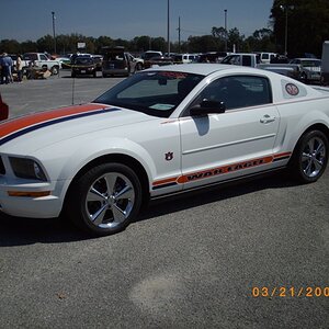 Tigerstang