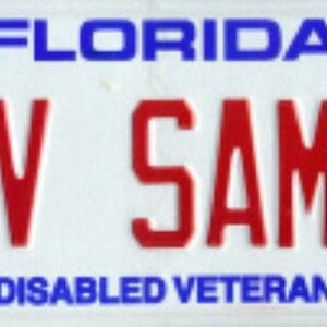 AUTO DV PLATE